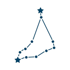 "Constellation Capricorn" Manifestation Tattoo 2-Pack