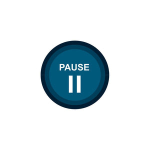 "Pause" Manifestation Tattoo 2-Pack