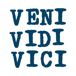 "Veni Vidi Vici" Manifestation Tattoo 2-Pack
